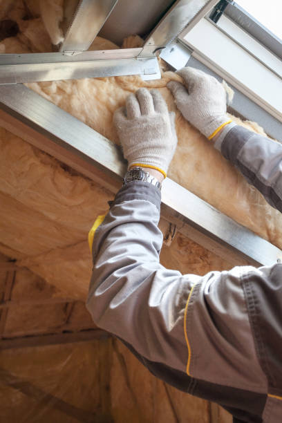 Types of Insulation We Offer in Johnsonville, SC