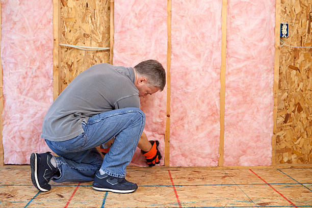 Best Specialized Insulation Services in Johnsonville, SC
