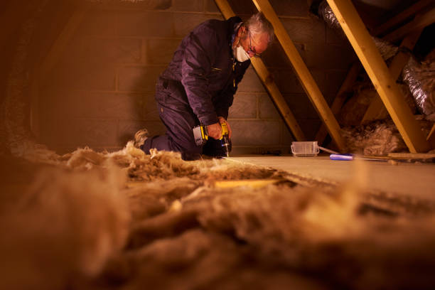 Best Residential Insulation in Johnsonville, SC